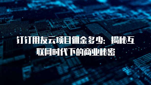 钉钉用友云项目佣金多少:揭秘互联网时代下的商业秘密