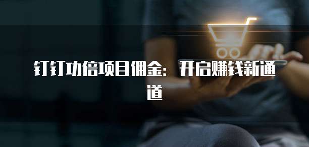 钉钉功倍项目佣金:开启赚钱新通道