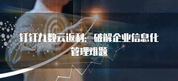 钉钉九数云返利:破解企业信息化管理难题