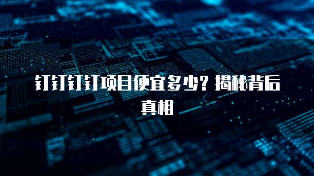 钉钉钉钉项目便宜多少?揭秘背后真相