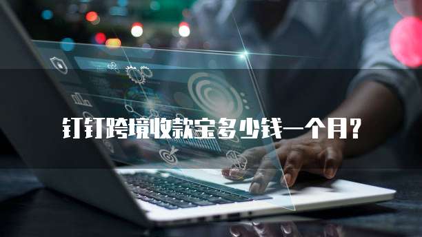 钉钉跨境收款宝多少钱一个月?