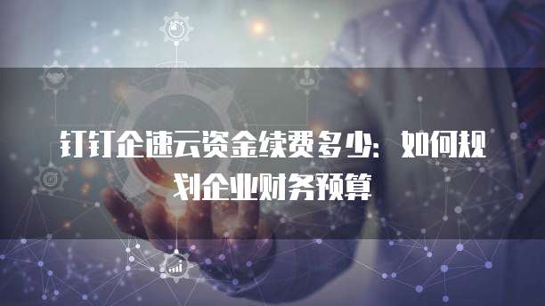 钉钉企速云资金续费多少:如何规划企业财务预算