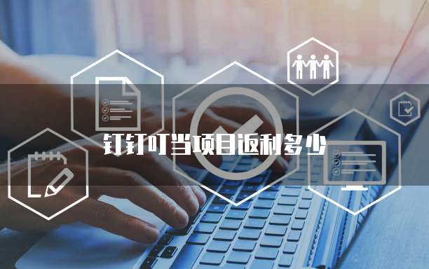 钉钉叮当项目返利多少