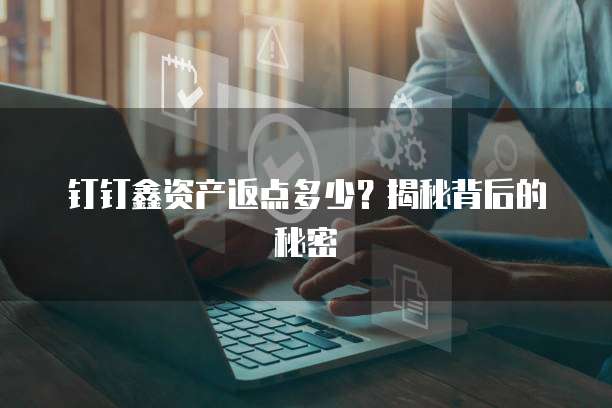 钉钉鑫资产返点多少?揭秘背后的秘密