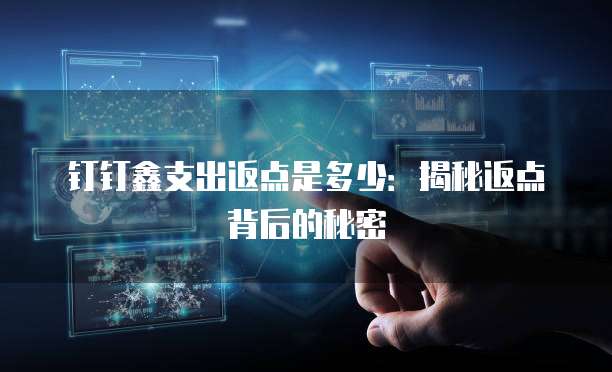 钉钉鑫支出返点是多少:揭秘返点背后的秘密