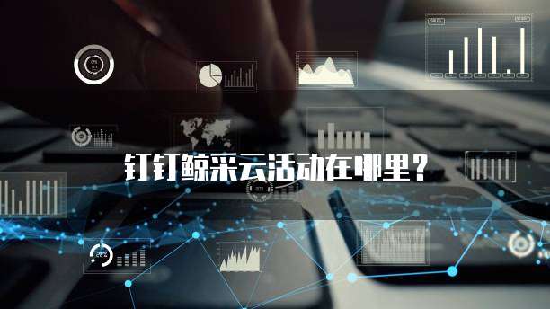 钉钉鲸采云活动在哪里？