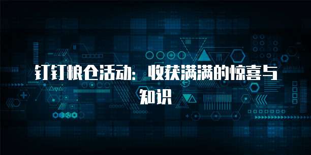 钉钉粮仓活动:收获满满的惊喜与知识