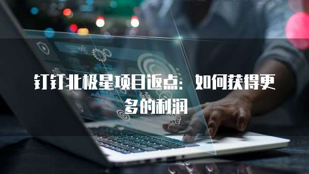 钉钉北极星项目返点:如何获得更多的利润