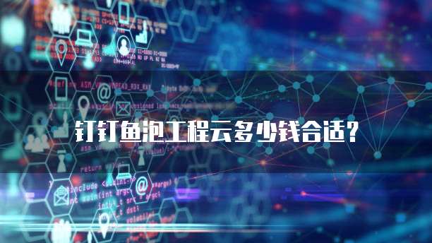 钉钉鱼泡工程云多少钱合适?