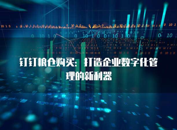 钉钉粮仓购买:打造企业数字化管理的新利器