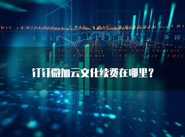 钉钉微加云文化续费在哪里？