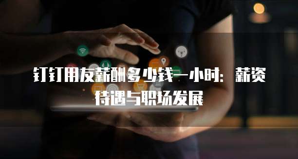 钉钉用友薪酬多少钱一小时:薪资待遇与职场发展