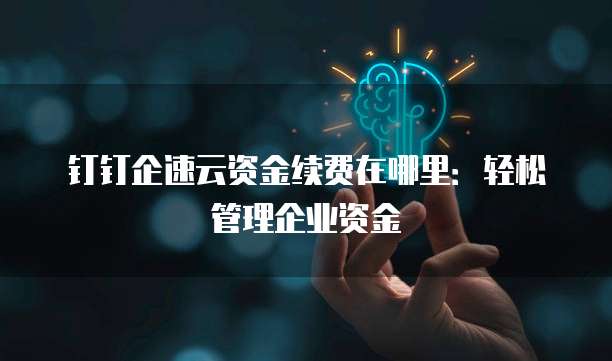 钉钉企速云资金续费在哪里:轻松管理企业资金
