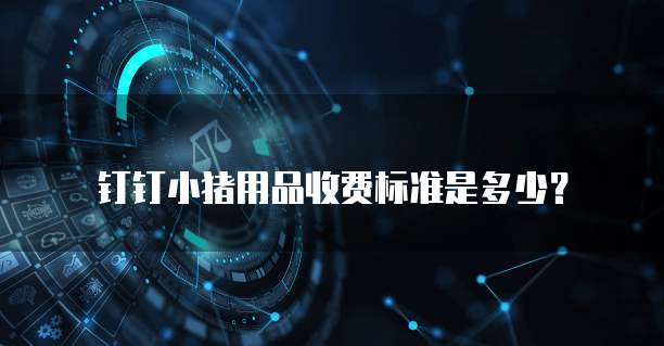 钉钉小猪用品收费标准是多少?