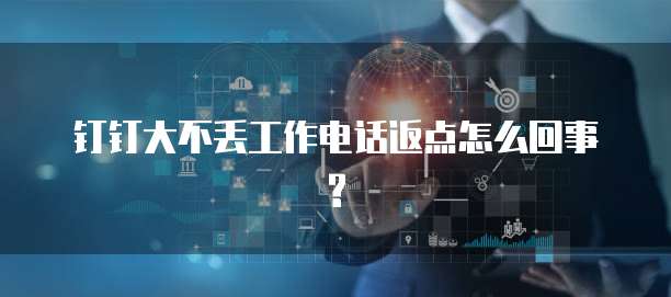 钉钉大不丢工作电话返点怎么回事?