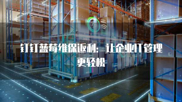 钉钉蓝莓维保返利:让企业IT管理更轻松