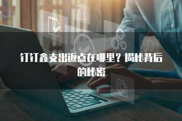 钉钉鑫支出返点在哪里？揭秘背后的秘密