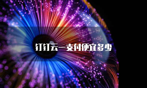 钉钉云一支付便宜多少
