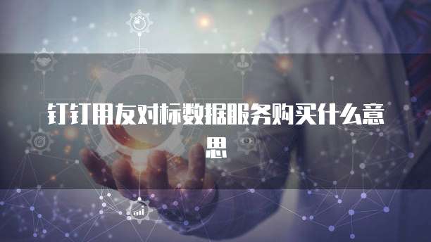 钉钉用友对标数据服务购买什么意思
