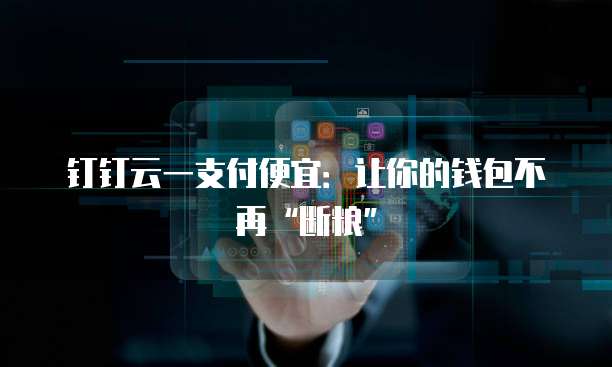 钉钉云一支付便宜：让你的钱包不再&ldquo;断粮&rdquo;