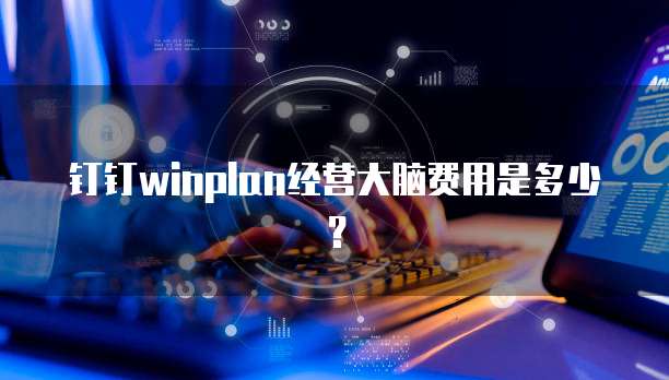 钉钉winplan经营大脑费用是多少?