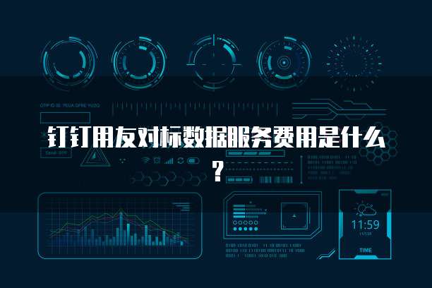 钉钉用友对标数据服务费用是什么？