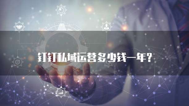 钉钉私域运营多少钱一年？