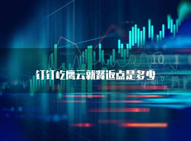 钉钉屹鹰云就餐返点是多少