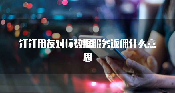 钉钉用友对标数据服务返佣什么意思