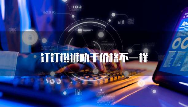 钉钉橙狮助手价格不一样