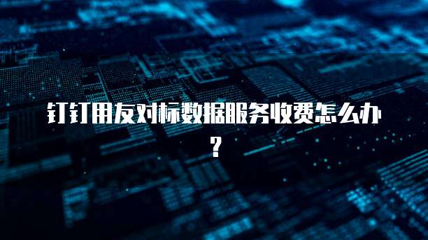 钉钉用友对标数据服务收费怎么办?