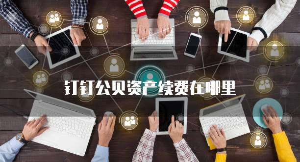 钉钉公贝资产续费在哪里