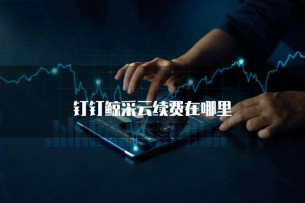 钉钉鲸采云续费在哪里