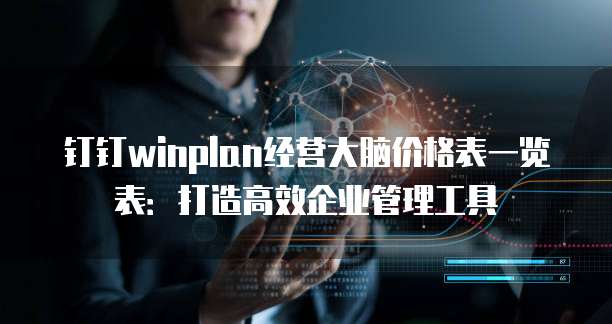 钉钉winplan经营大脑价格表一览表:打造高效企业管理工具