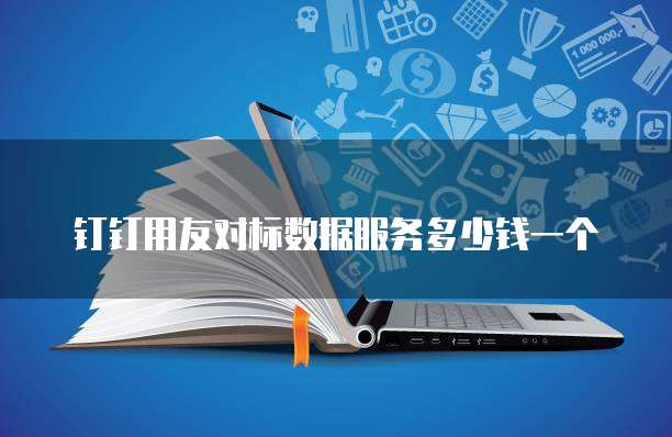 钉钉用友对标数据服务多少钱一个