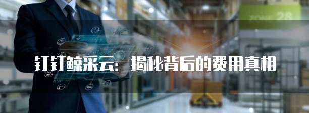 钉钉鲸采云：揭秘背后的费用真相