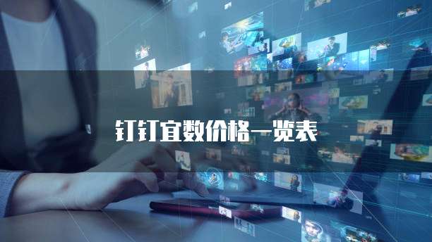钉钉宜数价格一览表