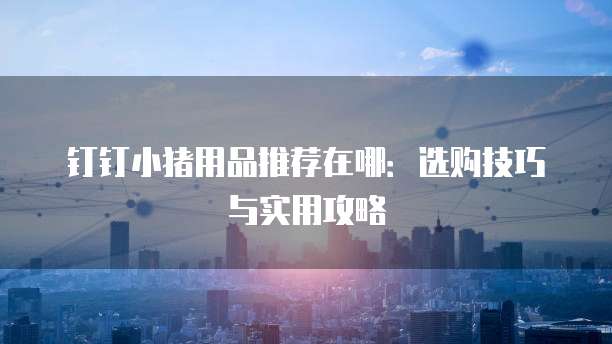 钉钉小猪用品推荐在哪:选购技巧与实用攻略