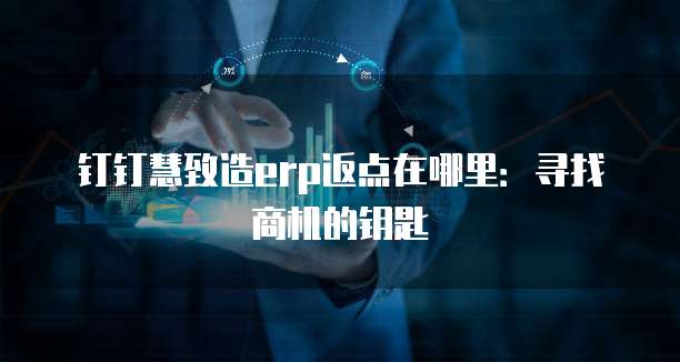 钉钉慧致造erp返点在哪里:寻找商机的钥匙