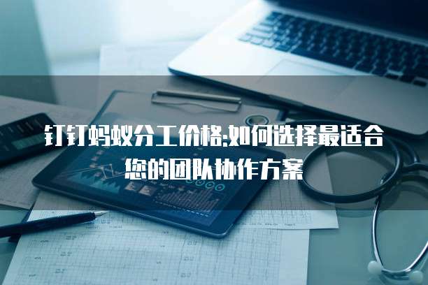 钉钉蚂蚁分工价格:如何选择最适合您的团队协作方案