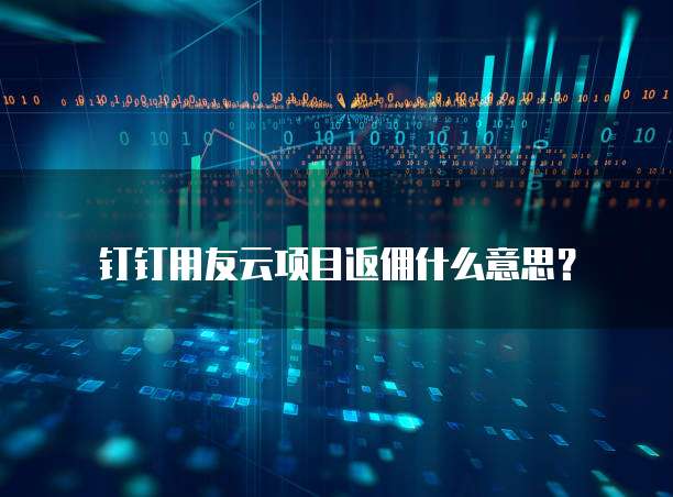钉钉用友云项目返佣什么意思？