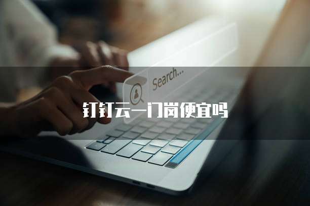 钉钉云一门岗便宜吗