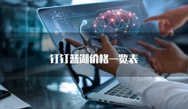 钉钉蓝湖价格一览表