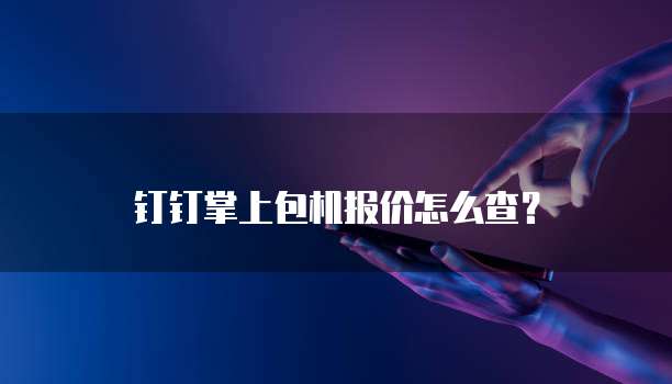 钉钉掌上包机报价怎么查?