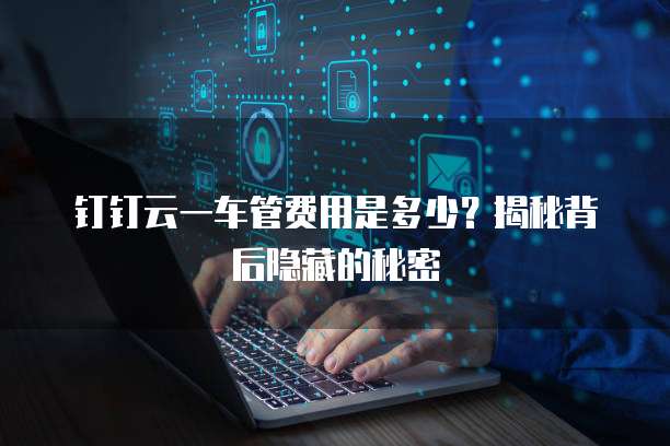 钉钉云一车管费用是多少?揭秘背后隐藏的秘密