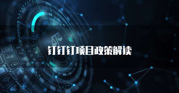 钉钉钉项目政策解读