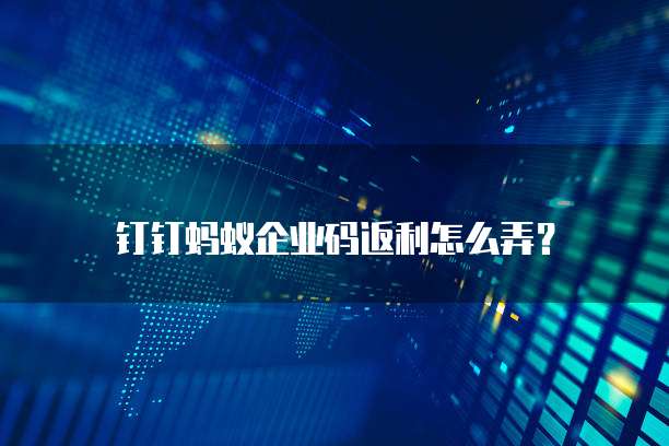 钉钉蚂蚁企业码返利怎么弄?