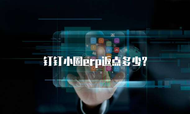 钉钉小圈erp返点多少?