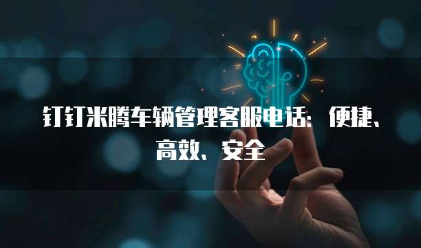 钉钉米腾车辆管理客服电话:便捷、高效、安全