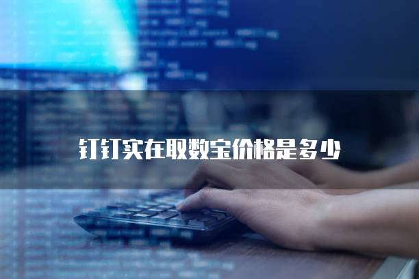 钉钉实在取数宝价格是多少